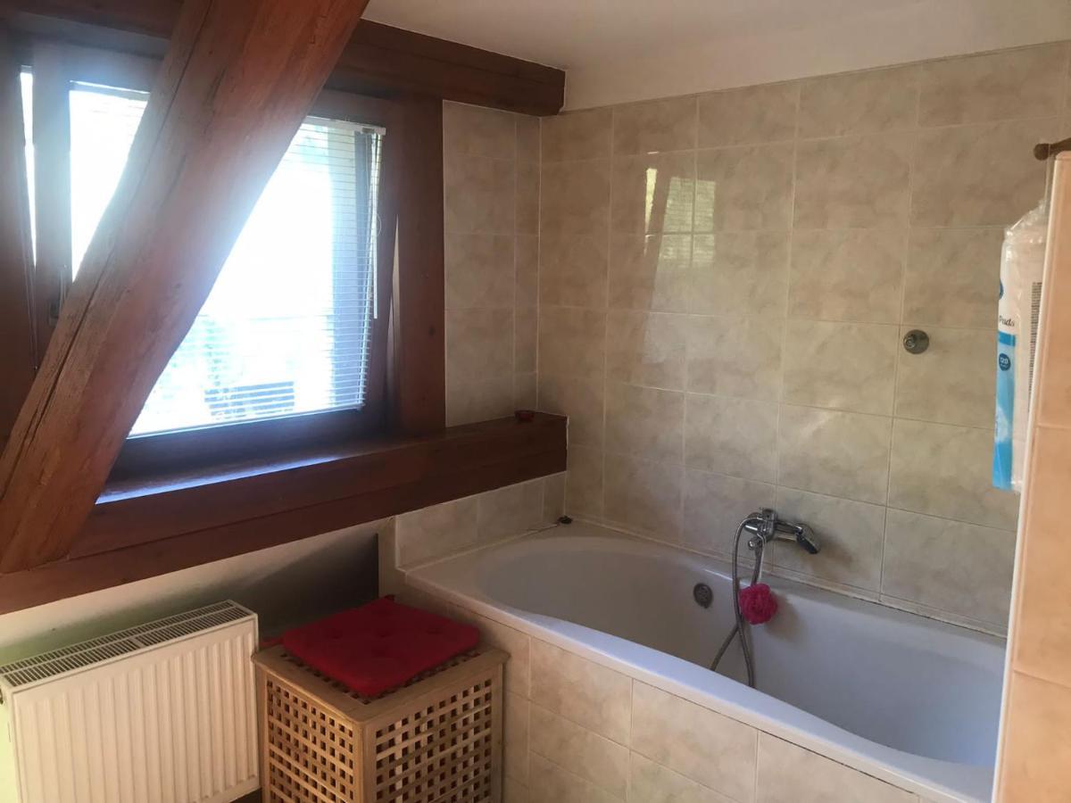 Apartmany Dolni Vitkov Chrastava Kültér fotó
